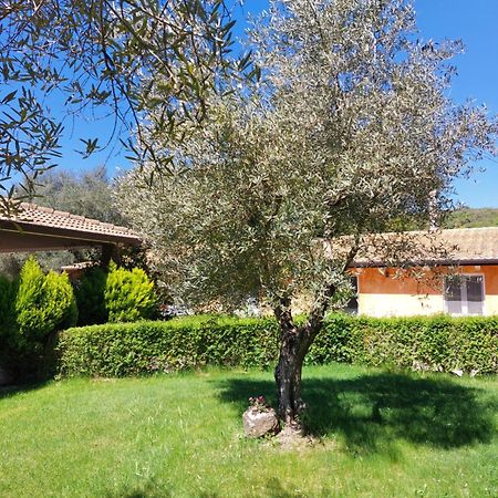 Casa Vacanza Centro Sardegna Sorgono Exterior foto