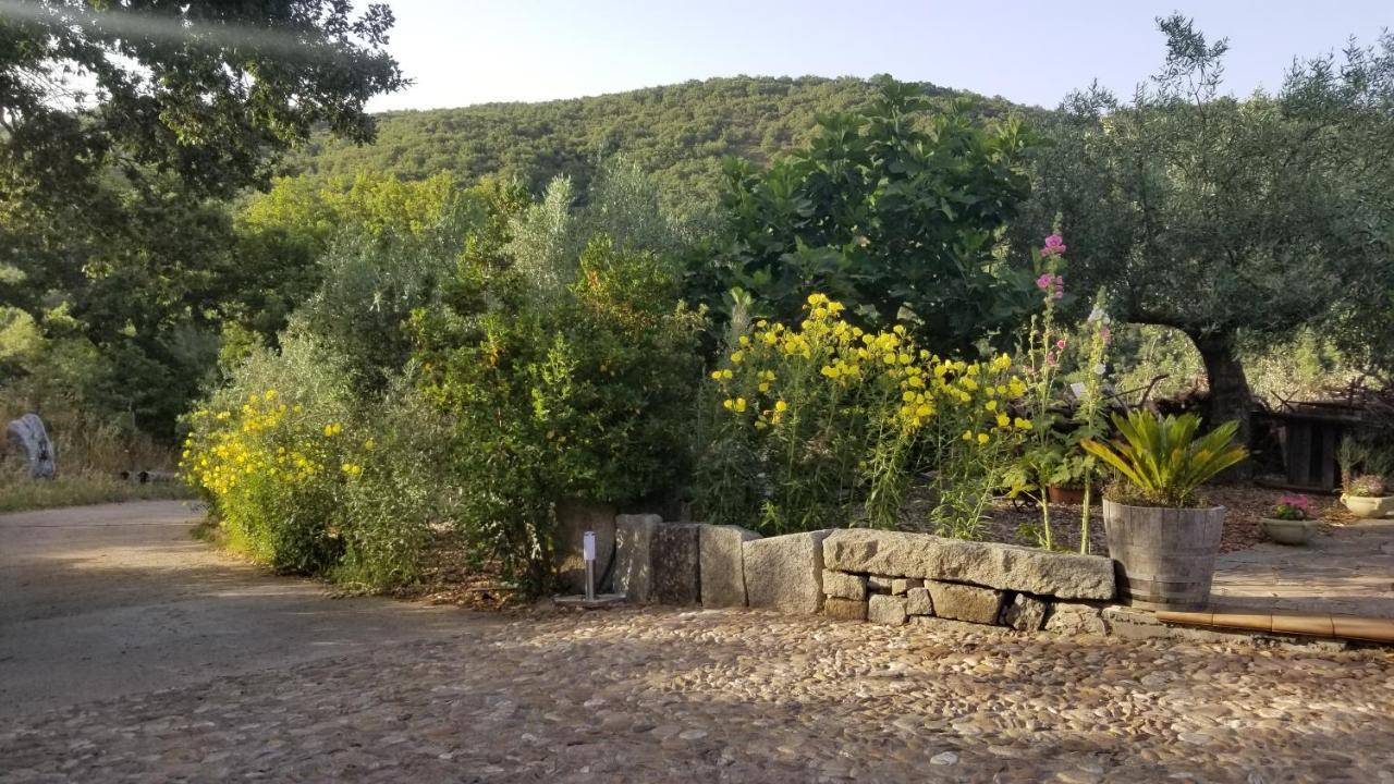 Casa Vacanza Centro Sardegna Sorgono Exterior foto
