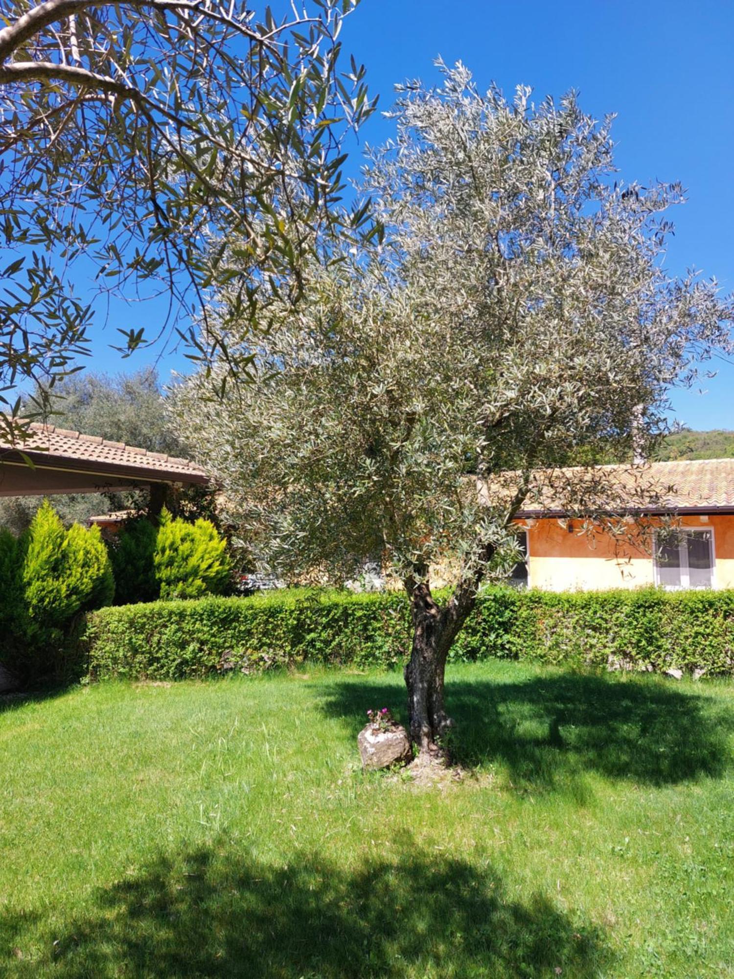 Casa Vacanza Centro Sardegna Sorgono Exterior foto