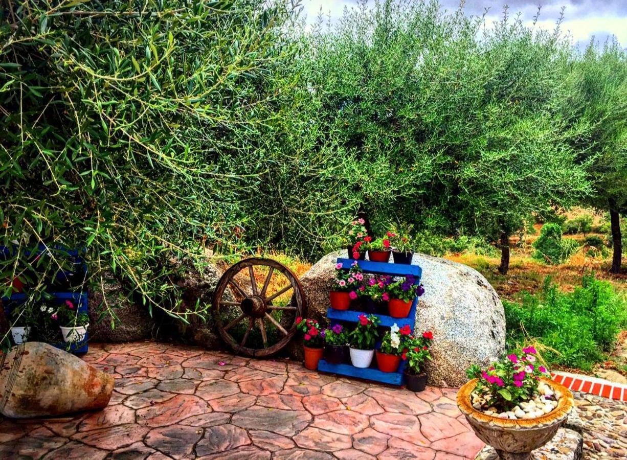 Casa Vacanza Centro Sardegna Sorgono Exterior foto